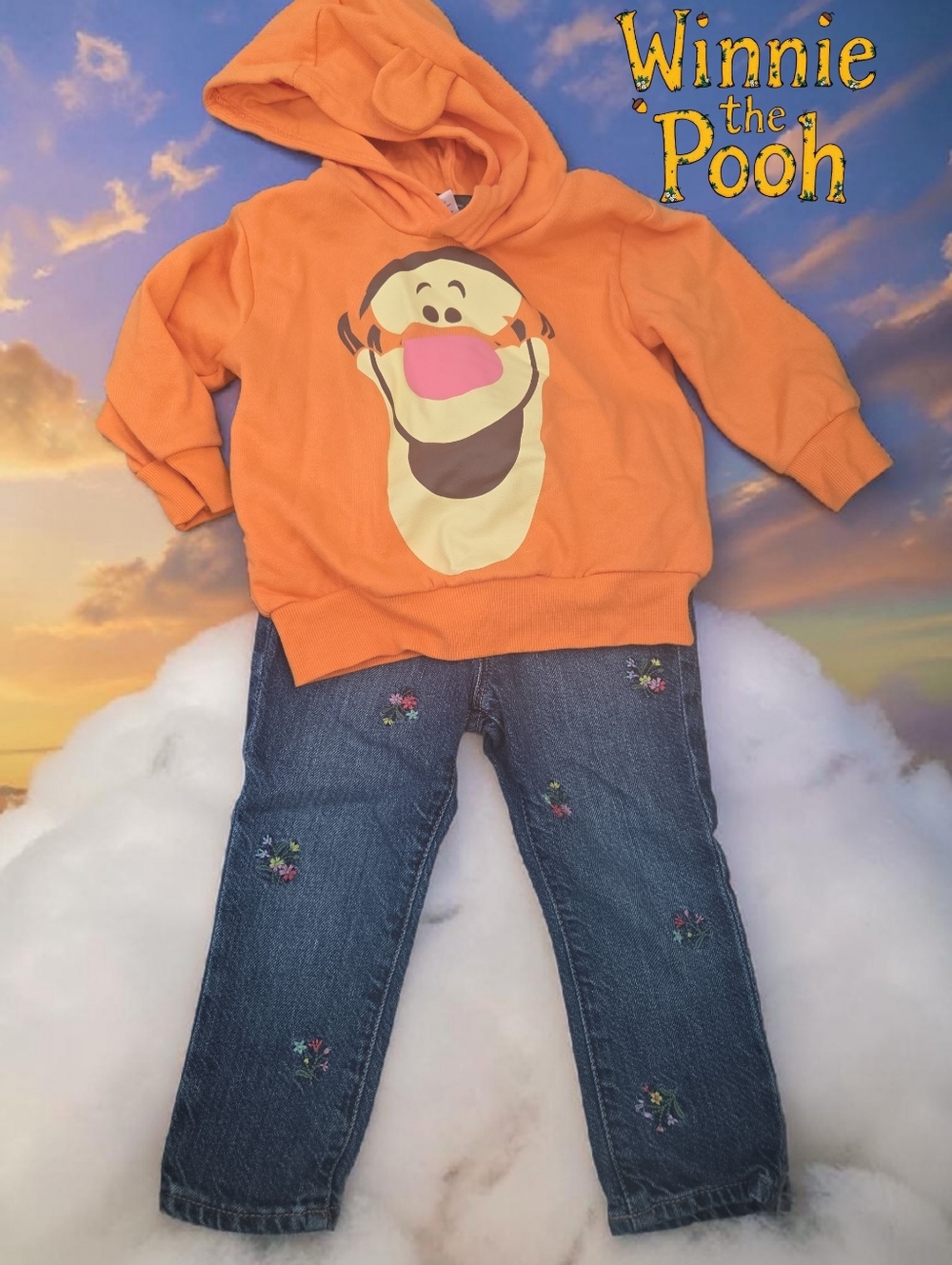 *1167 Winnie the Pooh matched hoodie set Girls 2/2T